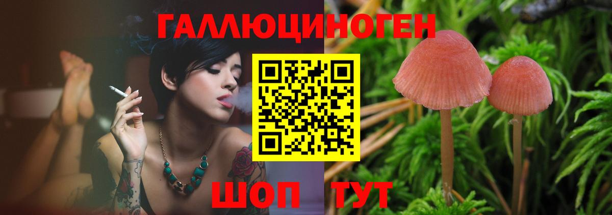 Сертолово  Псилоцибиновые грибы мицелий  Вход с VPN 